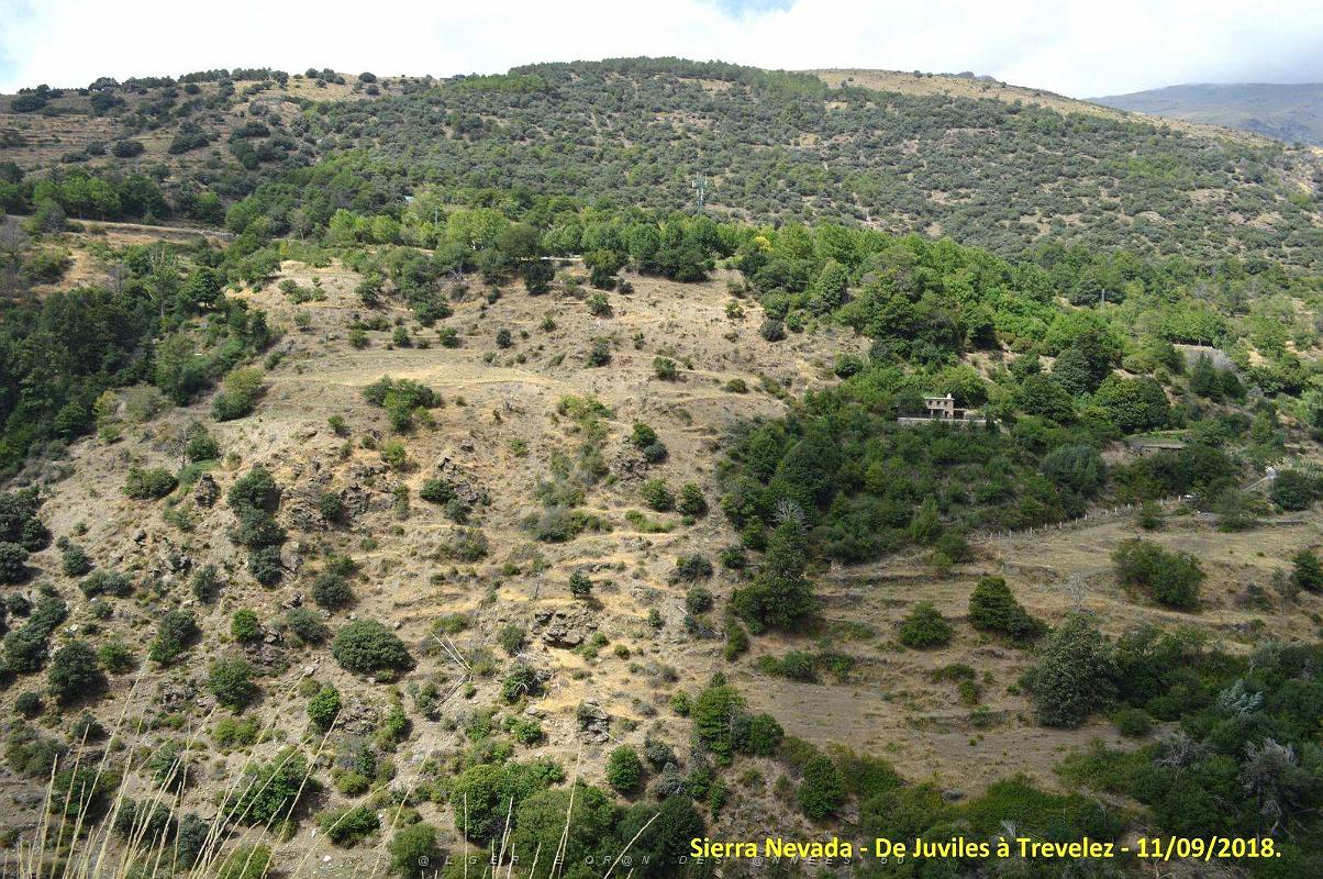 24 SIERRA NEVADA DE UGIJAR A TREVELEZ (104).JPG